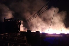 (Ảnh minh họa: Nguyễn Văn Việt/TTXVN)