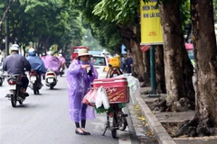 (Ảnh: Danh Lam/TTXVN)