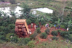 (Ảnh minh họa: Hưng Thịnh/TTXVN)