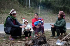 (Ảnh minh họa: Văn Dũng/TTXVN)