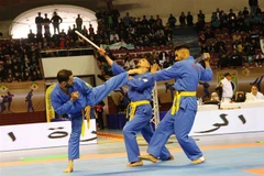 Các vận động viên thi đấu tại Giải quốc tế Vovinam-Việt Võ đạo. (Ảnh: Tấn Đạt/TTXVN)