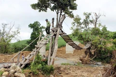 (Ảnh minh họa: Thế Lập/TTXVN)