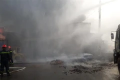 (Ảnh minh họa: Lê Xuân/TTXVN)