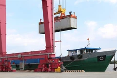 (Ảnh minh họa: Trần Xuân Tình/TTXVN)