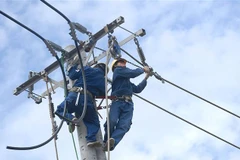 (Ảnh minh vũ: Thanh Vũ/TTXVN)