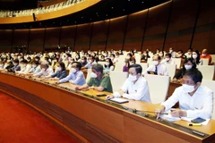 Đại biểu Quốc hội biểu quyết thông qua các nghị quyết về việc thành lập Đoàn giám sát chuyên đề của Quốc hội năm 2022. (Ảnh: Phạm Kiên/TTXVN)
