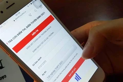 Thí sinh tra cứu điểm thi trên mạng ngay sau thời gian Bộ Giáo dục và Đào tạo công bố điểm. (Ảnh: TTXVN)