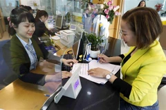 Ảnh minh họa. (Ảnh: Trần Việt/TTXVN)