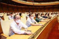 Đại biểu Quốc hội tỉnh Nam Định biểu quyết thông qua Nghị quyết về việc thành lập Đoàn giám sát chuyên đề của Quốc hội năm 2022. (Ảnh: Phương Hoa/TTXVN)
