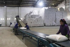 Vận chuyển sản phẩm tại Nhà máy Mía đường Cao Bằng. (Ảnh: Chu Hiệu/TTXVN)