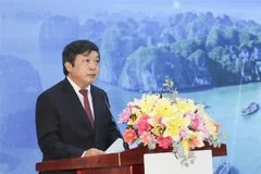 Thứ trưởng Bộ Văn hóa, Thể thao và Du lịch Đoàn Văn Việt phát biểu khai mạc hội thảo. (Ảnh: Trần Lê Lâm/TTXVN)