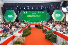 Quang cảnh Phiên toàn thể Diễn đàn Khởi nghiệp Đồng bằng sông Cửu Long lần 2 năm 2024. (Ảnh: Nguyễn Văn Trí/TTXVN)