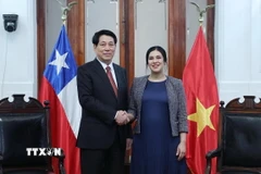 Chủ tịch nước Lương Cường hội kiến Chủ tịch Hạ viện Chile, Chủ tịch nhóm Nghị sỹ Hữu nghị Chile-Việt Nam, bà Karol Aída Cariola Oliva. (Ảnh: Lâm Khánh/TTXVN)