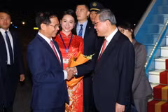 Phó Thủ tướng, Bộ trưởng Ngoại giao Bùi Thanh Sơn đón Thủ tướng Trung Quốc Lý Cường tại Sân bay Quốc tế Nội Bài, Hà Nội. (Ảnh: Phạm Kiên/TTXVN)