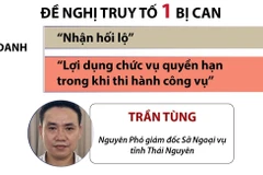 Đề nghị truy tố 17 bị can trong vụ chuyến bay giải cứu giai đoạn 2.