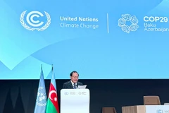 Thứ trưởng Bộ Tài nguyên và Môi trường Lê Công Thành - Trưởng đoàn Việt Nam phát biểu tại Phiên họp cấp cao trong khuôn khổ Hội nghị COP29. (Nguồn: Bộ Tài nguyên và Môi trường)