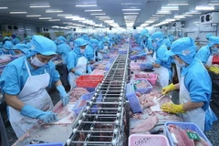 Chế biến hải sản xuất khẩu. (Ảnh: Vũ Sinh/TTXVN)