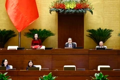 Phó Chủ tịch Quốc hội Nguyễn Thị Thanh điều hành phiên họp. (Ảnh: Doãn Tấn/TTXVN)