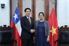Chủ tịch nước Lương Cường hội kiến Chủ tịch Hạ viện Chile, Chủ tịch nhóm Nghị sỹ Hữu nghị Chile-Việt Nam, bà Karol Aída Cariola Oliva. (Ảnh: Lâm Khánh/TTXVN)