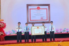 Phó Thủ tướng Hồ Đức Phớc trao quyết định công nhận Nông thôn mới cho lãnh đạo huyện Tây Sơn. (Ảnh: Sỹ Thắng/TTXVN)