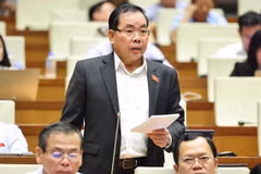 Đại biểu Quốc hội tỉnh Bình Dương Nguyễn Quang Huân phát biểu. (Ảnh: Minh Đức/TTXVN)