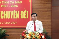 Chủ tịch Ủy ban Nhân dân tỉnh Cà Mau Phạm Thành Ngại. (Ảnh: Kim Há/TTXVN)