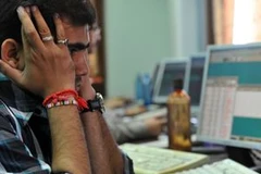 Ảnh minh họa. (Nguồn: TTXVN)