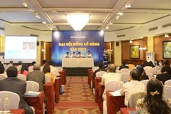 Đại hội cổ đông thường niên năm 2013 của HPG. (Nguồn: HPG)