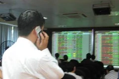 Ảnh minh họa. (Nguồn: Vietnam+)