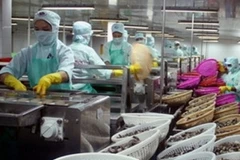 Tập đoàn Thủy sản Minh Phú. (Nguồn: TTXVN)