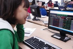 Ảnh minh họa. (Nguồn: Vietnam+)