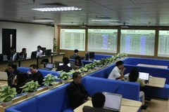 Ảnh minh họa. (Nguồn: Vietnam+)