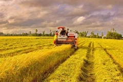 Ảnh minh họa. (Nguồn: TTXVN)