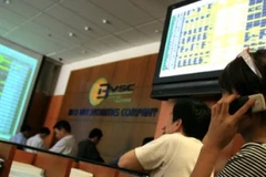 Ảnh minh họa. (Nguồn: TTXVN)