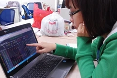 Ảnh minh họa. (Nguồn: Vietnam+)