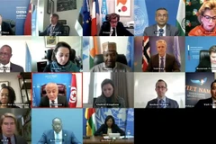 Đại diện các nước thành viên Hội đồng Bảo an Liên hợp quốc họp trực tuyến về Cộng hòa Trung Phi. (Ảnh: Hữu Thanh/TTXVN)