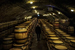 Hầm ủ rượu vang tại Nuits-Saint-Georges, vùng Bourgogne, Pháp. (Ảnh: AFP/TTXVN)