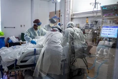 Nhân viên y tế điều trị cho bệnh nhân COVID-19 tại trung tâm y tế ở Tarzana, California, Mỹ. (Ảnh: AFP/TTXVN)