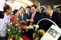 Phó Thủ tướng Vương Đình Huệ và đại biểu thăm các gian trưng bày, giới thiệu sản phẩm cam. (Ảnh: TTXVN)