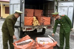 Tịch thu hơn 1 tấn sản phẩm động vật không rõ nguồn gốc. (Ảnh: Đồng Thúy/TTXVN)