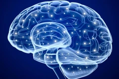 (Nguồn: digitaltrends.com)