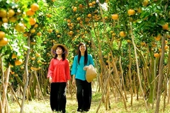 Tiền Giang phát triển làng nghề gắn với du lịch