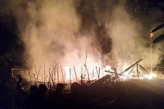 Ảnh minh họa. (Nguồn: TTXVN)