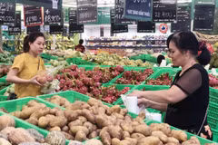 (Ảnh minh họa: Mỹ Phương/TTXVN)
