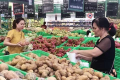 (Ảnh minh họa: Mỹ Phương/TTXVN)