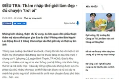 (Nguồn: Ảnh chụp màn hình từ Báo Người lao động)