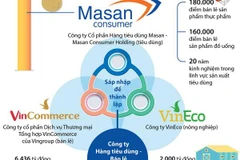 Các thông số của Masan, VinCommerce và VinEco trước khi sáp nhập