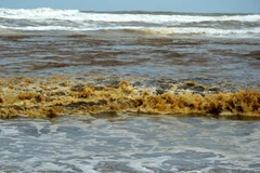 Nước biển có màu xám đen, nổi bọt vàng. (Ảnh: Phước Ngọc/TTXVN)