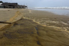 Nước biển có màu xám đen, nổi bọt vàng. (Ảnh: Phước Ngọc/TTXVN)