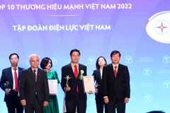 Đại diện EVN tại lễ trao giải thưởng Top 10 Thương hiệu Mạnh Việt Nam năm 2022. (Ảnh: PV/Vietnam+)